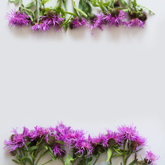 Floral pattern of purple and pink flowers on grey background. Flat lay. View from above.