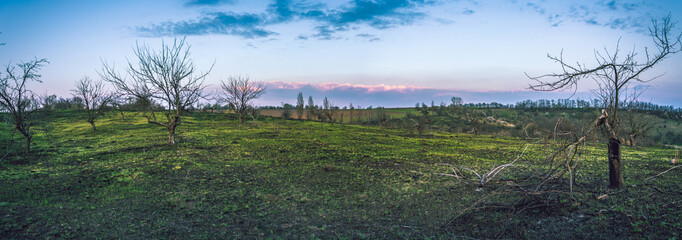 Spring landscape © ghostdom