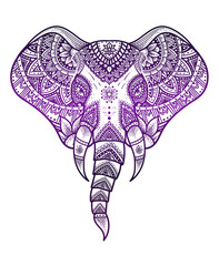 Elephant head with mandala pattern style,gradient color on white background-vector illustration design