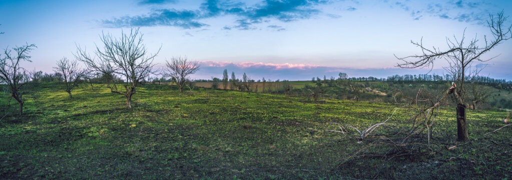 Spring landscape