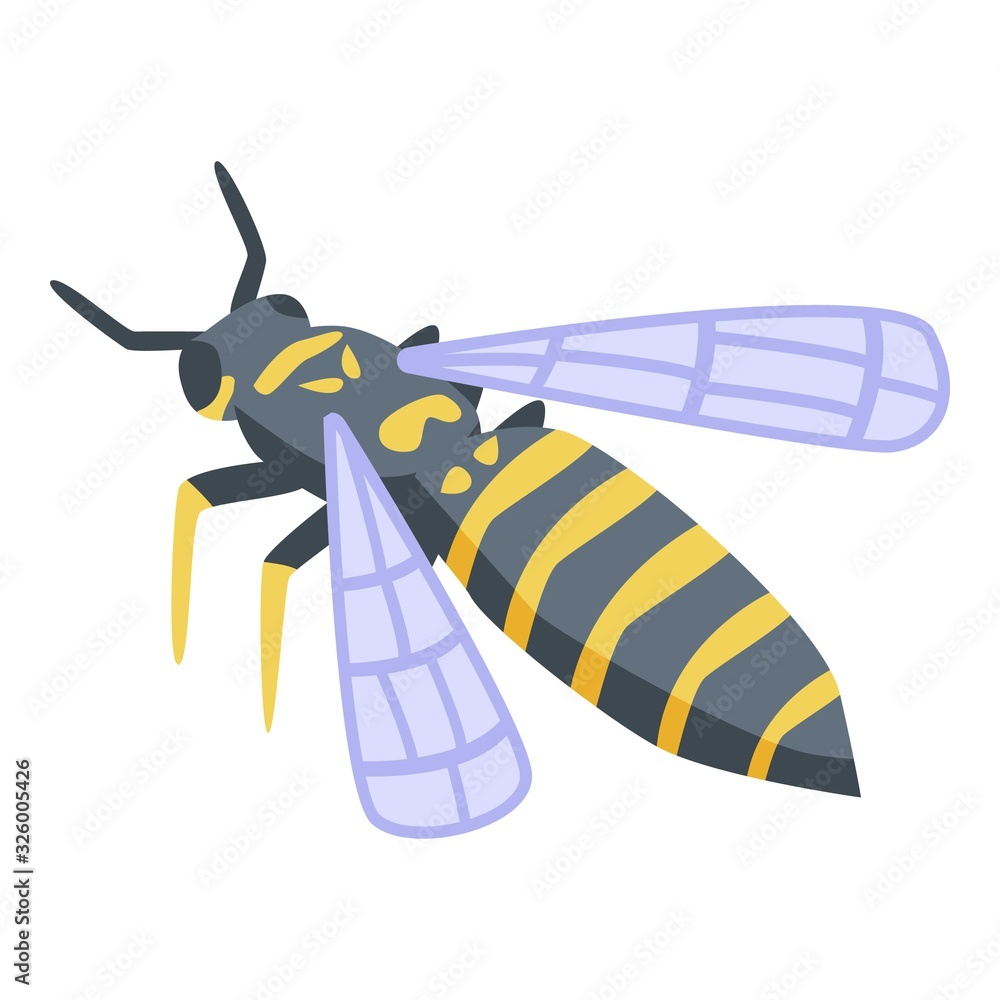 Poster wasp agression icon. isometric of wasp agression vector icon for web design isolated on white backgr