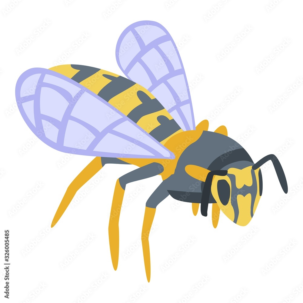 Poster wild wasp icon. isometric of wild wasp vector icon for web design isolated on white background
