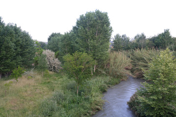 Rio Turia passing through the town of Pedralba