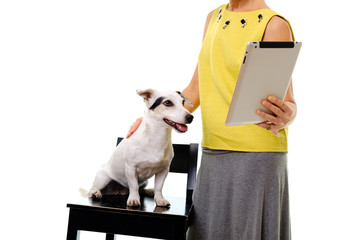 Elderly woman aged 55-60 dressed in yellow blouse and grey long skirt standing and hugging jack russell terrier dog, watching movie on tablet pc. Concept of lifestyle. Isolated on white background