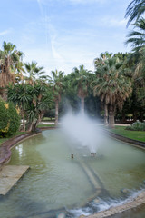 fountain in a park surrounded by palm trees