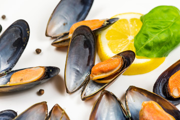 Mussels 