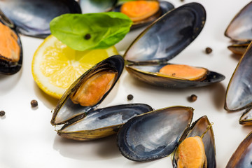 Mussels 