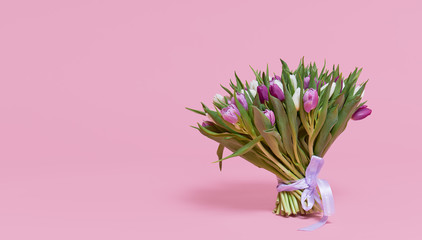 A large bouquet of colorful spring tulip flowers on a pink studio background. Gift for March 8 or birthday.