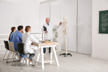 Medical students and professor studying human skeleton anatomy in classroom