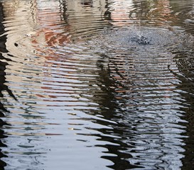 Water surface rippled by a stream  falling from a fountain