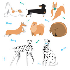 Dogs are isolated on a white background for design or print, a flat vector stock illustration with doodle pet for children