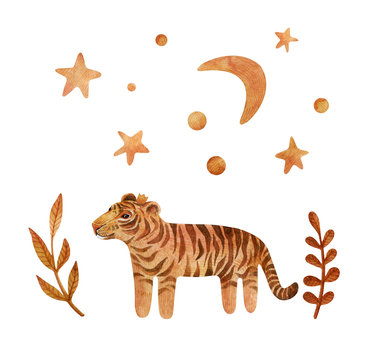 Watercolor set with cute tiger and stars.  Wild cat and moon isolated on white. Children cartoon set perfect for cards, prints, posters, design, fabric.