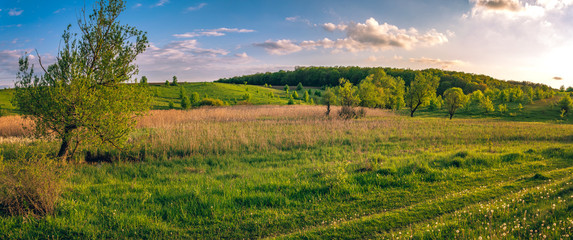 Fototapeta na wymiar Fields landscape in summer sunset and sunrise