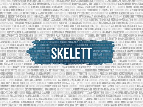 Skelett