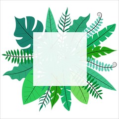 Tropical leaves square frame isolated on white background. Stock vector illustration for decoration and design, cards, posters, fabrics, web pages and more.