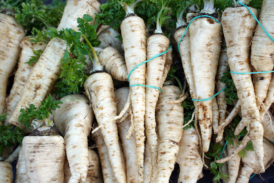 fresh parsley root in the grocery market