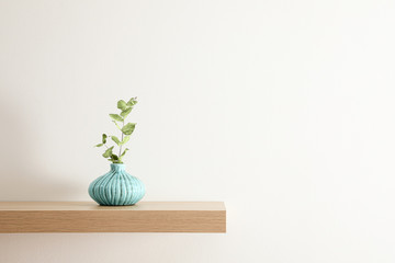 Wooden shelf with plant in vase on light wall