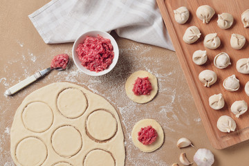 Making of tasty dumplings on color background