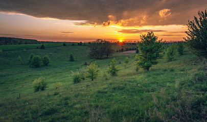Naklejka na ściany i meble Fields landscape in summer sunset and sunrise