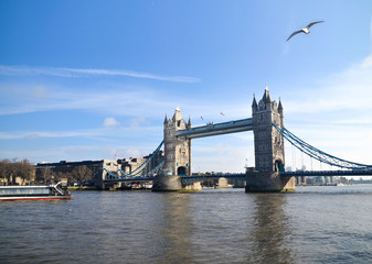 Fototapeta na wymiar Tower bridge de Londres con ave