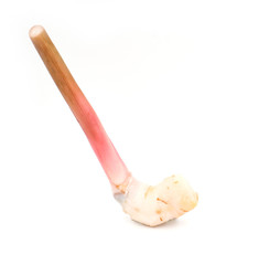 Closeup galangal isolated on white background, Fresh galangal, Raw Galangal