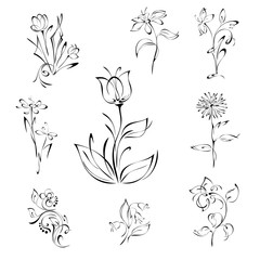 flowers 63. SET. stylized flowers on stems with leaves in black lines on white background. SET