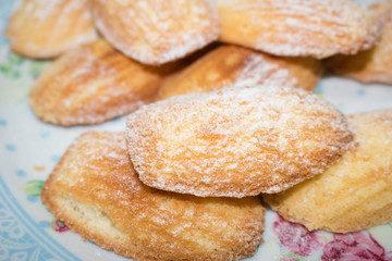 Madalenas in the plates to dessert