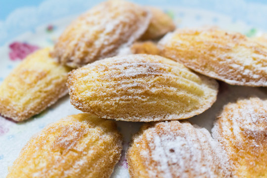 Madalenas in the plates to dessert