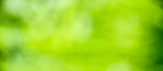  Spring background - abstract green background banner
