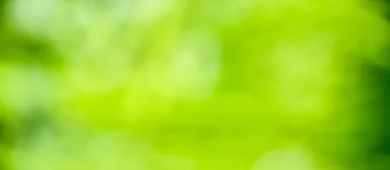 Tuinposter Lente achtergrond - abstracte groene achtergrond banner © S.H.exclusiv