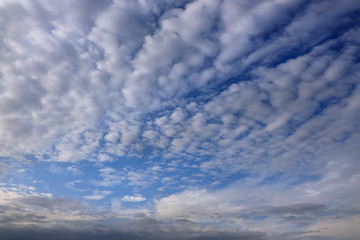 Fototapeta na wymiar Blue sky with ridges of long white clouds.