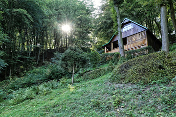 Small wooden cottage on the hillside