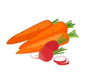 Bright vector illustration of colorful radish, carrot.
