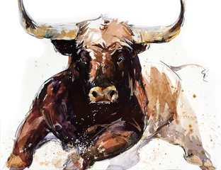 Papier Peint photo Lavable Pour lui Taureau. illustration animale. Série de bovins dessinés à la main à l& 39 aquarelle. Races Toro Bravo.