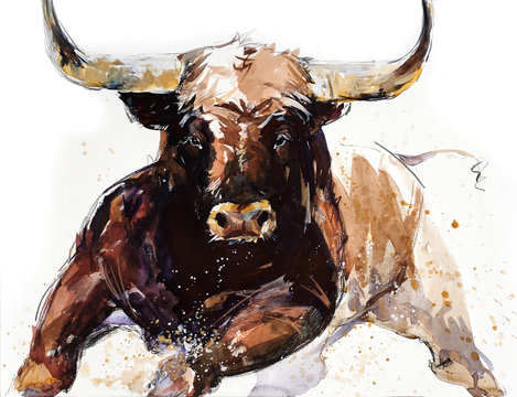 Bull. animal illustration. Watercolor hand drawn series of cattle. Toro Bravo breeds.