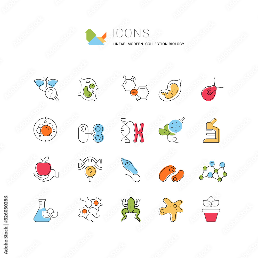 Canvas Prints set vector line icons of biology.