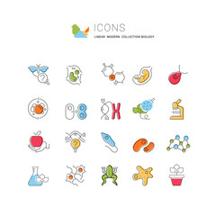 Set Vector Line Icons of Biology.