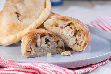 delicious dry chicken pie or chicken empanada 