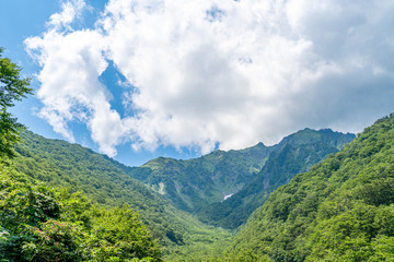群馬県 谷川岳 マチガ沢の風景