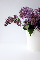 Spring flowering lilac. Bouquet of purple lilac in a white vase on a white background close-up. Selective focus. 