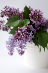 Fototapeta premium Spring flowering lilac. Bouquet of purple lilac in a white vase on a white background close-up. Selective focus. 