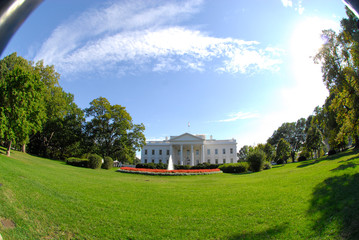the white house in washington dc
