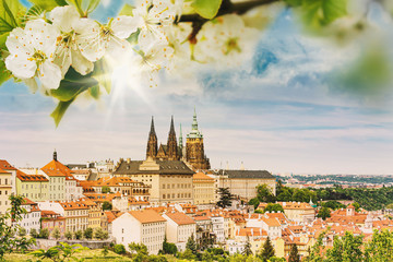 Prague City with Spring Flowers
