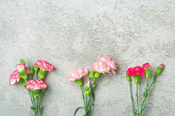 bouquet of pink carnation flower on gray concrete background Top view Flat lay Holiday card 8 March, Happy Valentine's day, Mother's, Memorial, Teacher's day concept Copy space