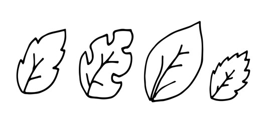 Hand drawn doodle of tree leaves. Simple thick black line. birch, palm and Hawaii leaves.