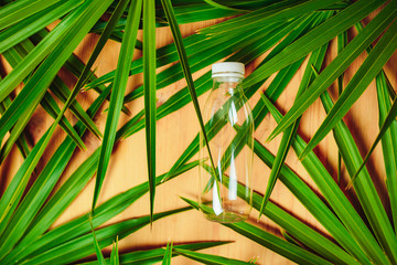 Plastic bottle in the middle of green leaves. Green palm branches on the wooden table. Ecological...