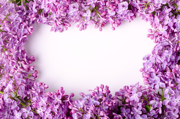 Beautiful purple lilac flowers. Macro photo of lilac spring flowers. Floral background.