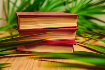Old books with yellow pages and green palm branches on the wooden table.