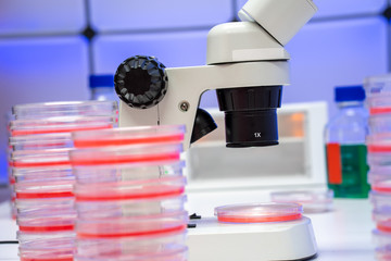 Microscope and petri dish with biological sample on clinical workbench