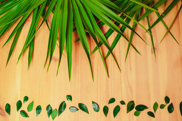 Green palm branches on the wooden table. Ecological card with palm leaves.